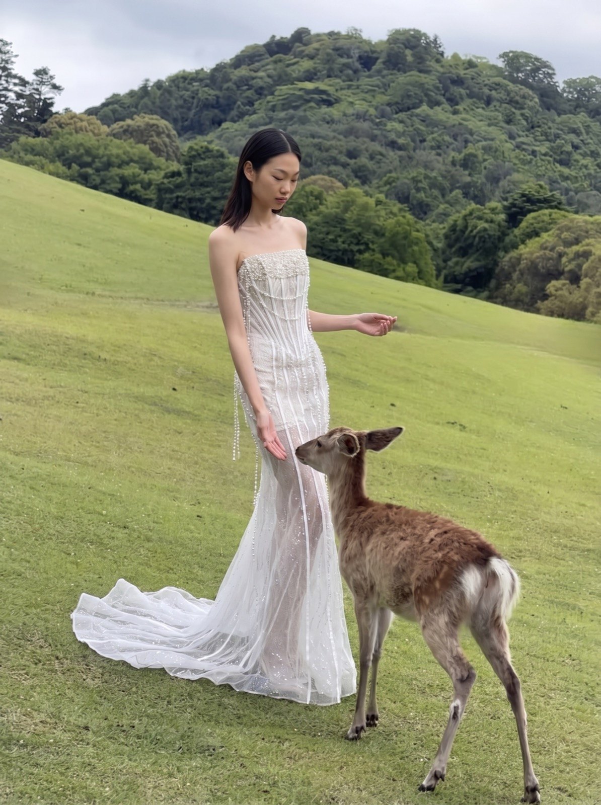 La Sirène  라 시렌 웨딩드레스 상세 사진 13